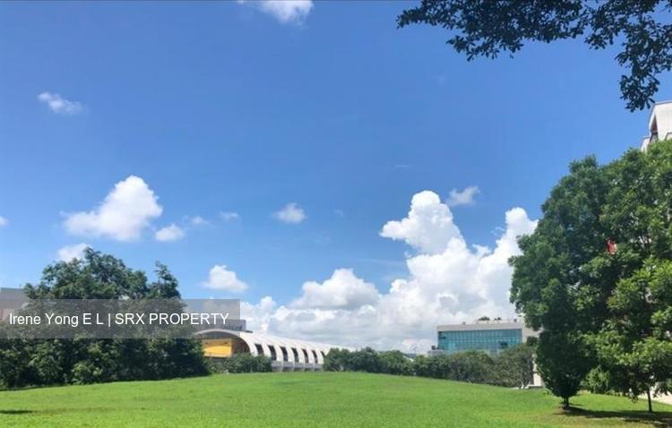 Blk 247 Tampines Street 21 (Tampines), HDB 4 Rooms #223263221